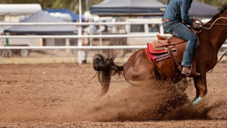 Photo for The back end of a horse as it tries to stop in the dirt during a calf roping event at an Australian country rodeo. - Royalty Free Image