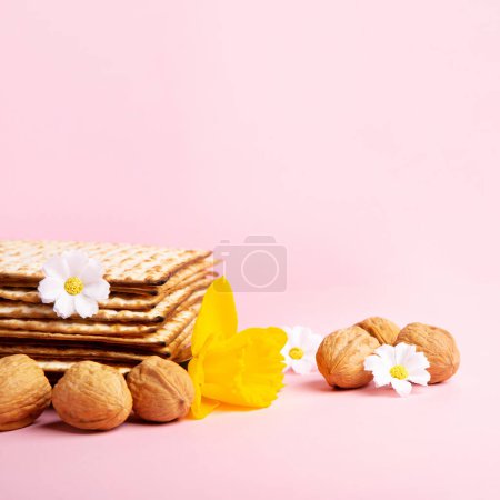 Photo for Jewish holiday Passover greeting card concept with matzah, Star of David, spring yellow daffodil, daisy flowers, walnuts on pink table. Seder Pesach spring holiday background, copy space. - Royalty Free Image