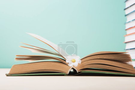 Foto de Día Mundial del Libro y el Derecho de Autor, concepto de Educación. Open Book y Daisy Flower sobre fondo azul menta. Tarjeta festiva para libros vacaciones, espacio para copiar. - Imagen libre de derechos