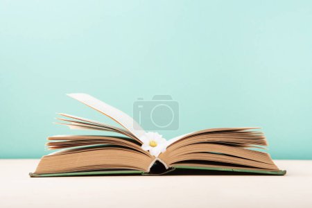 Foto de Día Mundial del Libro y el Derecho de Autor, concepto de Educación. Open Book y Daisy Flower sobre fondo azul menta. Tarjeta festiva para libros vacaciones, espacio para copiar. - Imagen libre de derechos