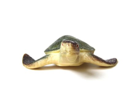 Artificial green sea turtle rubber toy isolated on white background.