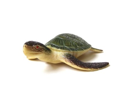 Artificial green sea turtle rubber toy isolated on white background.