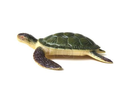 Téléchargez les photos : Jouet artificiel en caoutchouc vert tortue de mer isolé sur fond blanc. - en image libre de droit