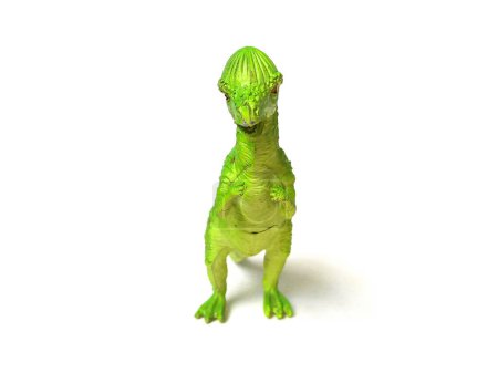 Foto de Primer plano de Pachycephalosaurus dinosaurio juguete. Juguete para niños aislado sobre fondo blanco. - Imagen libre de derechos