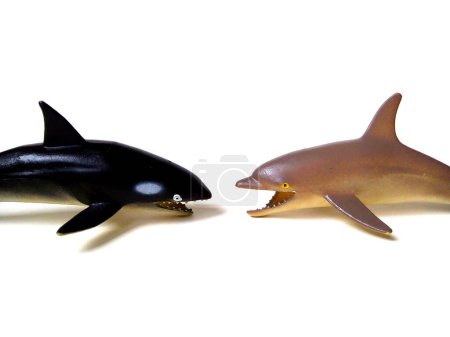 Close up of Dolphin and Orca toy. Kids toy isolated on white background.