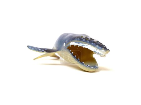 Close up of humpback whale toy. Kids toy isolated on white background.