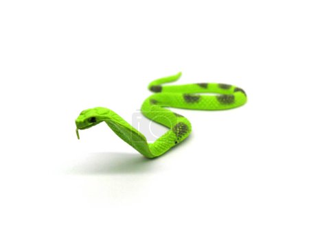 Foto de Cobra de goma de juguete de serpiente. Primer plano de juguete para niños aislado sobre fondo blanco. - Imagen libre de derechos