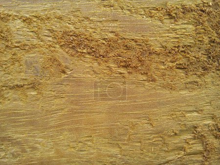Photo for Wood grain.texture background. Close up of brown natural wood surface. - Royalty Free Image