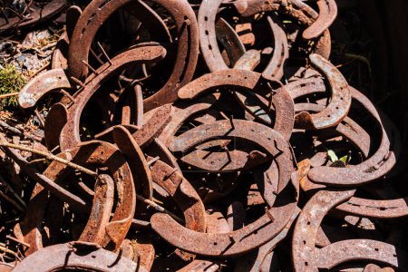 Photo for Pile of old abandoned rusty horseshoes. - Royalty Free Image