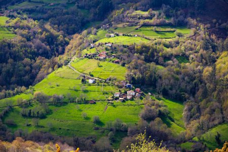 Photo for A hillside in Asturias, Spain, densely covered with numerous trees creating a lush and vibrant green landscape. The trees fill the hillside, providing shade and habitat for various wildlife - Royalty Free Image