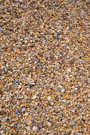 A collection of assorted rocks lie scattered on the wet pebbled ground of a beach shore. The rocks vary in size and shape, creating a natural and unorganized arrangement.