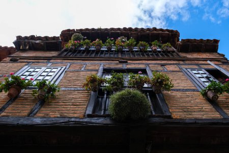 A traditional Cantabrian house in Spain, characterized by its tall brick structure with various plants thriving out of the windows. The building showcases a unique blend of architectural design and nature intertwining seamlessly.