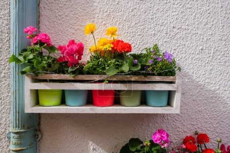 A window box overflowing with various potted plants is positioned next to a brick wall. The plants display vibrant colors and different textures in this urban setting.