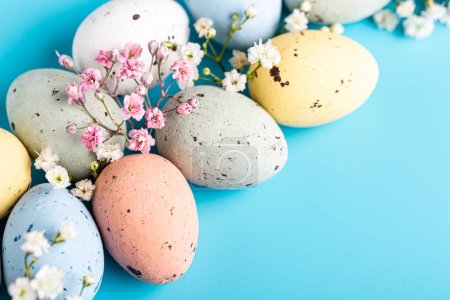 Photo for Easter composition with spring flowers and colorful quail eggs over blue background. Springtime and Easter holiday concept with copy space. - Royalty Free Image