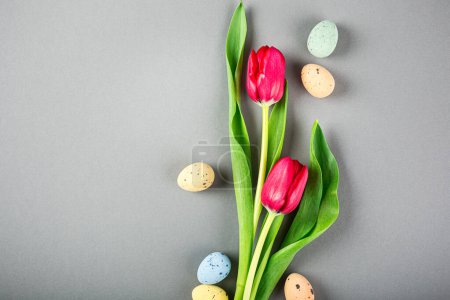 Photo for Pink tulips and quail eggs over gray background, Easter. Birthday, mother day greeting card concept with copy space. Top view, flat lay. - Royalty Free Image