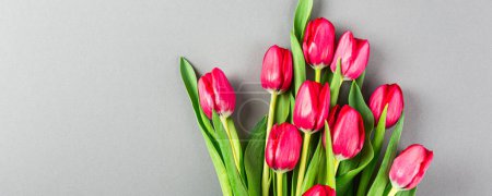 Photo for Banner with dark pink tulips on gray background, Easter. Birthday, mother day greeting card concept with copy space. Top view, flat lay. - Royalty Free Image