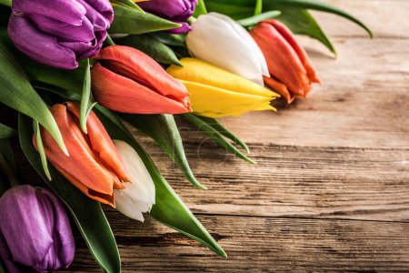 Photo for Colorful tulips on old wooden background. Spring and Easter concept with copy space. Retro style toned. - Royalty Free Image
