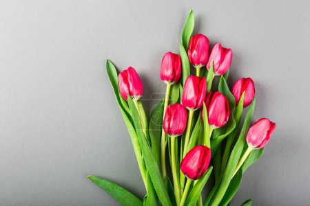 Photo for Springtime gray background with pink tulips, Easter. Birthday, mother day greeting card concept with copy space. - Royalty Free Image