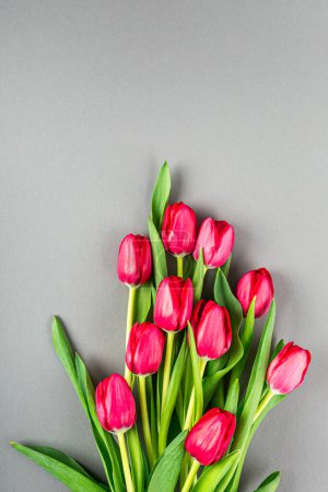 Photo for Spring background with pink tulips over gray, Easter. Birthday, mother day greeting card concept with copy space. - Royalty Free Image