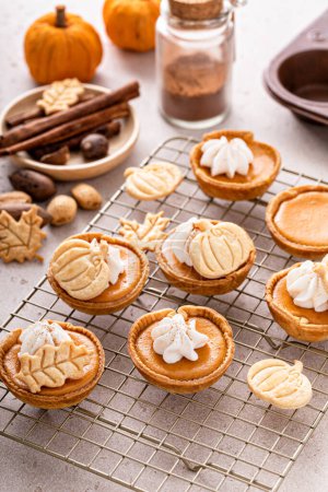 Photo for Mini pumpkin pies with wipped cream and spices baked in a muffin tin - Royalty Free Image