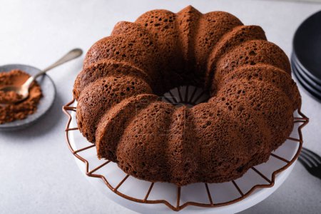 Schokoladenkuchen mit Kakaopulver bestäubt, hausgemachtes Schokoladendessert