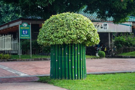 Photo for Rizal Park, Manila, Philippines July 2, 2014: A large potted shrub at the Rizal Park in Manila, Philippines - Royalty Free Image