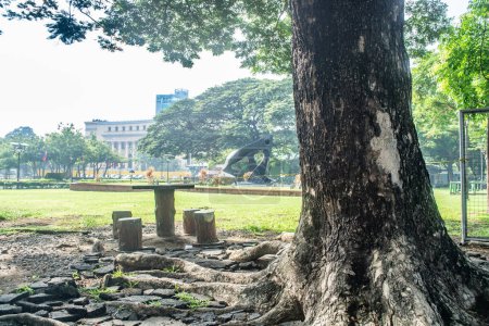 Photo for Rizal Park, Manila, Philippines July 2, 2014: Table and chairs under a tree at the Rizal Park along Taft Ave., Manila, Philippines - Royalty Free Image