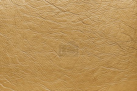 Photo for Genuine yellow leather texture, natural animal skin, luxury vintage cowhide background. Eco friendly leatherette, faux leather rough structure. Wallpapere, backdrop, copy space - Royalty Free Image