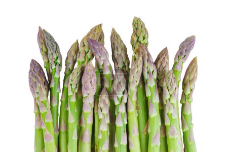 Bunch of raw green asparagus Isolated on white background. Edible sprouts of sparrowgrass stems. Healthy food, fresh vegetable, ingredient for cooking