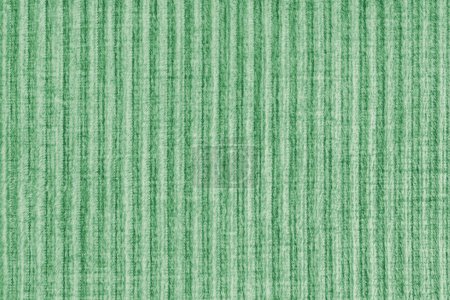 Crête texture fond de velours velours velours côtelé tissu vert. Grande nervure, tissage grossier velours, tissu de texture d'ameublement rayé, matériau textile de meubles, design, décor
