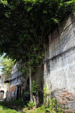 Vue de la ville minière d'étain délabrée et abandonnée de Papan dans la banlieue de la ville de Pusing, Perak, Malaisie