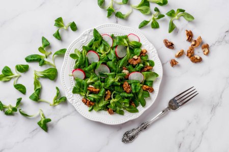 Salat aus Feldsalat, Rettich und Walnüssen. Cornsalatblätter, in Scheiben geschnittene Rettich- und Nusskerne auf einem weißen Teller über der Marmoroberfläche. Schlankheitsrezept. Vitamin gesunde Ernährung. Vegetarisches Essen. Ansicht von oben.
