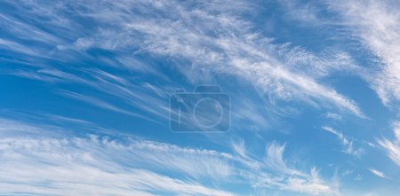 Téléchargez les photos : Light cirrus clouds in the blue sky panorama. Cirrus clouds variety on a sunny day. Wide shot of beautiful calm skyscape. Background for weather and climate concept. Outdoors. - en image libre de droit