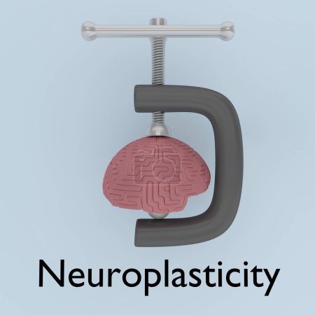 Photo for 3D illustration Neuroplasticity script below a symbolic human brain human held by a clamp, isolated over pale blue. - Royalty Free Image