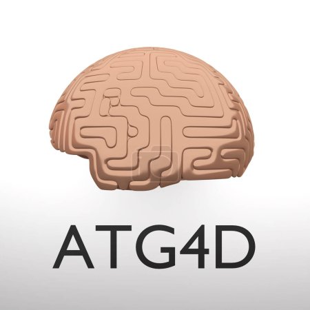 Photo for T3D illustration of ATG4D script under a human brain, isolated over a blue gradient. - Royalty Free Image