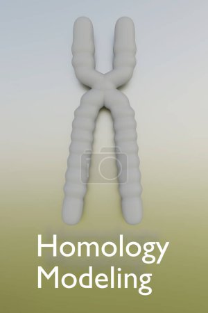 Photo for 3D illustration of a chromosome with Homology Modeling script - Royalty Free Image