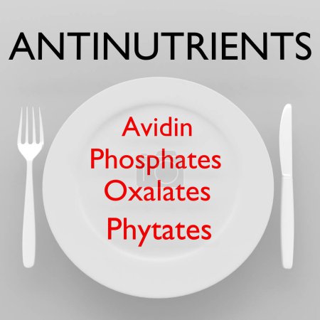 Foto de Ilustración 3D del título de Antinutrientes sobre una placa blanca, junto con un cuchillo de plata y un tenedor en un mapa gris. La placa contiene las etapas del proceso nutricional: Avidin, fosfatos, oxalatos, fitatos. - Imagen libre de derechos