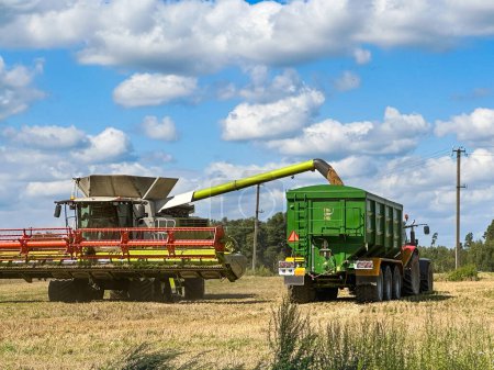 Téléchargez les photos : Combiner la récolte du grain en versant dans la remorque du tracteur par une journée ensoleillée. Secteur agricole. - en image libre de droit