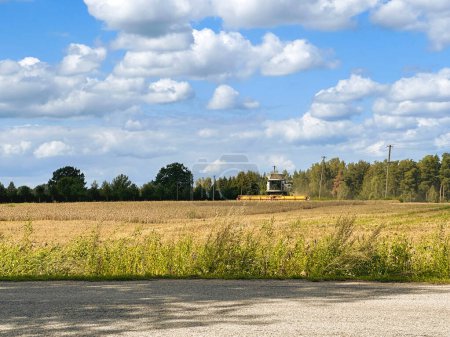 Téléchargez les photos : Combiner la récolte du grain en versant dans la remorque du tracteur par une journée ensoleillée. Secteur agricole. - en image libre de droit