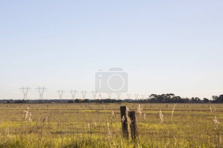 Téléchargez les photos : Prairies ouvertes étendues avec lignes électriques à haute tension à l'horizon lointain, mêlant nature et technologie. - en image libre de droit