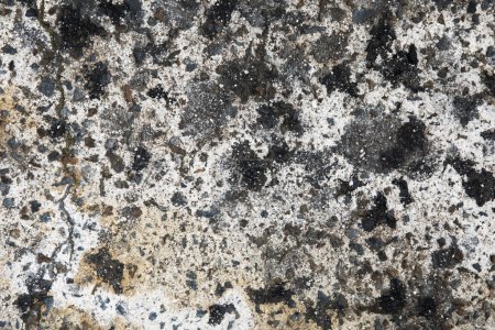 Téléchargez les photos : Surface texturée combinant pierre brute, granit et éléments de ciment crée un attrait visuel unique. - en image libre de droit