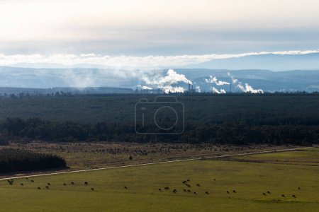 Photo for Sheep grazing in the foreground of an agricultural setting, with a paper mill in the distance, blending industrial and rural environments. - Royalty Free Image