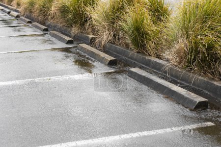 Parking vide avec des lignes blanches claires marquées sur l'asphalte humide.