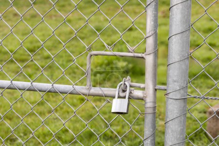 Téléchargez les photos : Porte de sécurité fixée avec des chaînes et un cadenas en acier, entourant un champ herbeux. - en image libre de droit