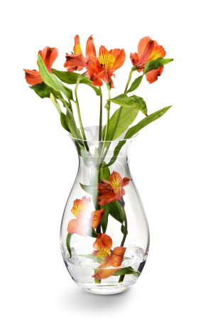 Florero transparente, con alstroemeria naranja, también conocido como lirio de los incas. Sobre un fondo blanco, perfecto para la decoración del hogar o para un regalo.