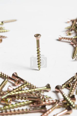 Metal, Stainless Steel Self Tapping Screws on white wooden backg