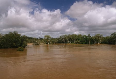 Téléchargez les photos : La rivière Ord est une rivière de 651 kilomètres de long (405 mi) dans la région de Kimberley en Australie occidentale.. - en image libre de droit