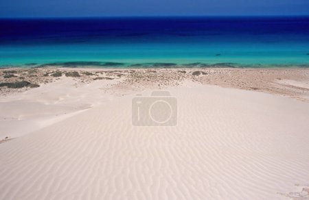 Téléchargez les photos : Great arher dune Socotra est une île de la République du Yémen dans l'océan Indien. - en image libre de droit