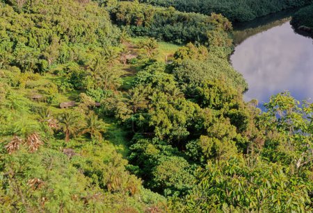 Téléchargez les photos : Wailua River State Park et le complexe Wailua de Heiaus, qui comprend, sont situés sur le côté est de l'île hawaïenne de Kauai. - en image libre de droit