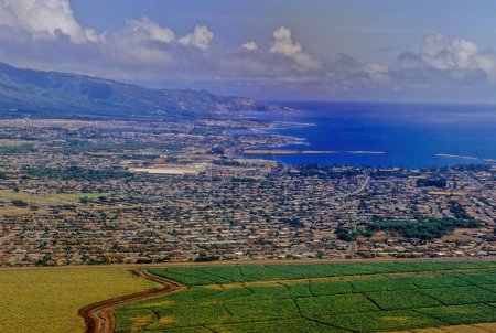 L'île de Maui Hawaiian est la deuxième plus grande île de l'État d'Hawaii